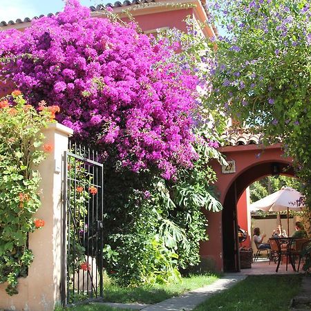 El Arbol Hostel La Serena Exterior photo