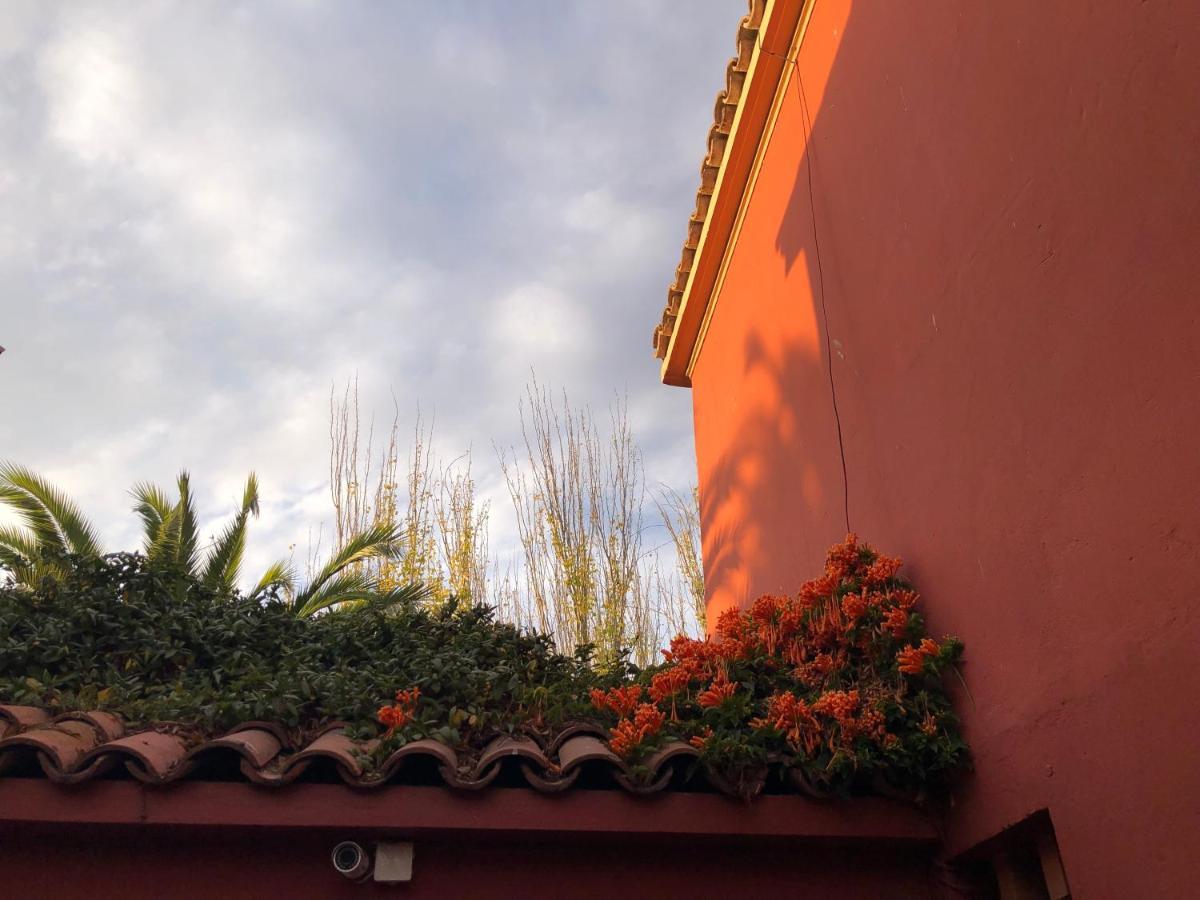 El Arbol Hostel La Serena Exterior photo